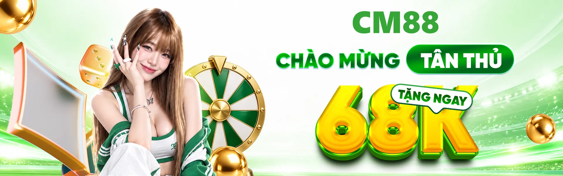 banner cm88 ehrenberg-roman